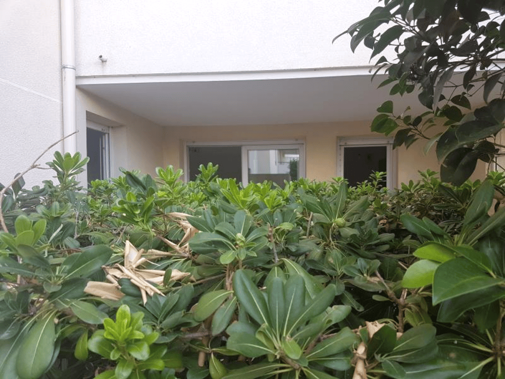 Appartement T3 à vendre à Marseille – photo 7