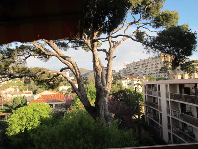 Appartement T2 à louer à Marseille – photo 1