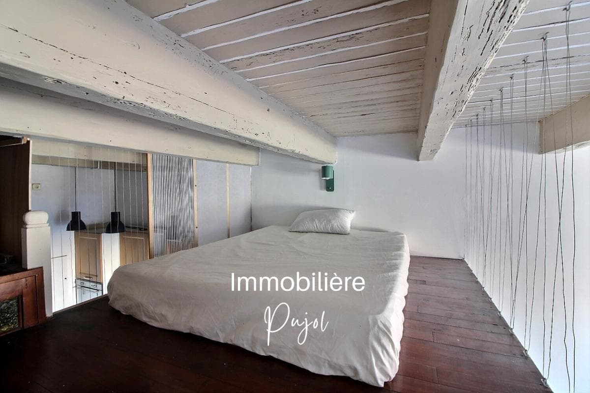 Chutes Lavies - Studio meublé + mezzanine avec terrasse – photo 7