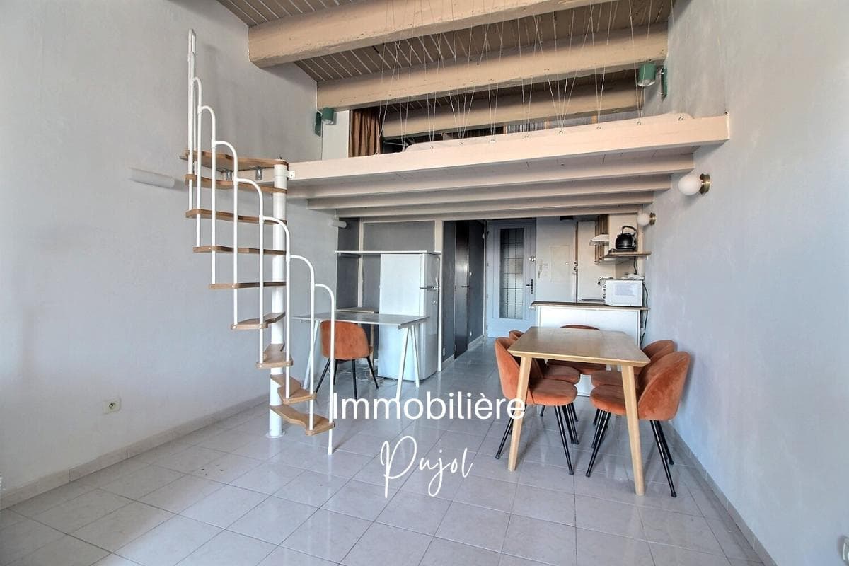 Chutes Lavies - Studio meublé + mezzanine avec terrasse – photo 5