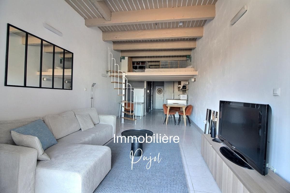 Chutes Lavies - Studio meublé + mezzanine avec terrasse – photo 1
