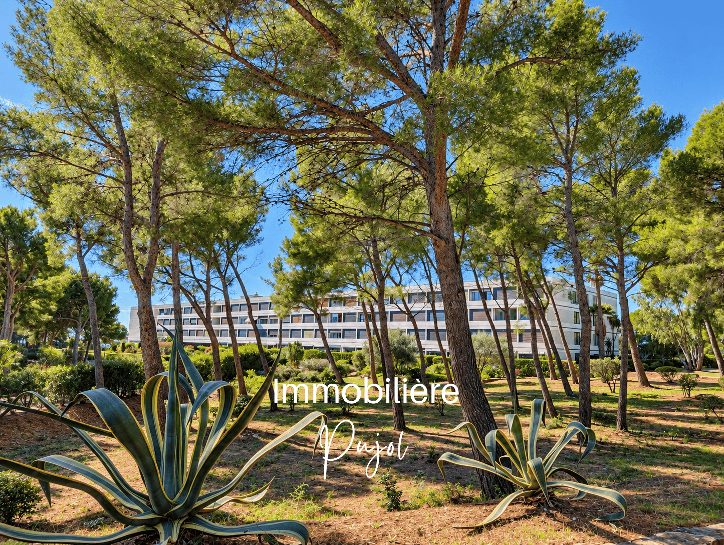 Bandol   DOMAINE Athéna - Studio avec bel aperçu mer et pinè – photo 13