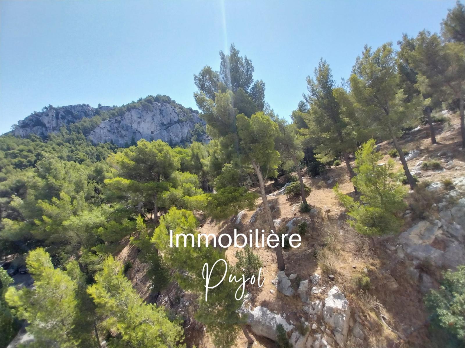 attente belle photo de pub SOUS-OFFRE Roy d'Espagne - 13008 – photo 7
