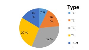 Type d'habitation dans le 13008 à Marseille