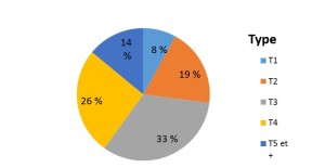 repartition des types de biens dans le 13011 marseille