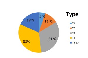 Typologie des appartements que l'on trouve dans le 13à13 à Marseille